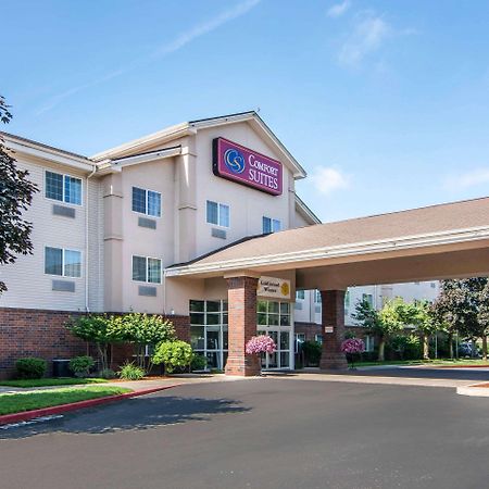 אלבני Comfort Suites Linn County Fairground And Expo מראה חיצוני תמונה