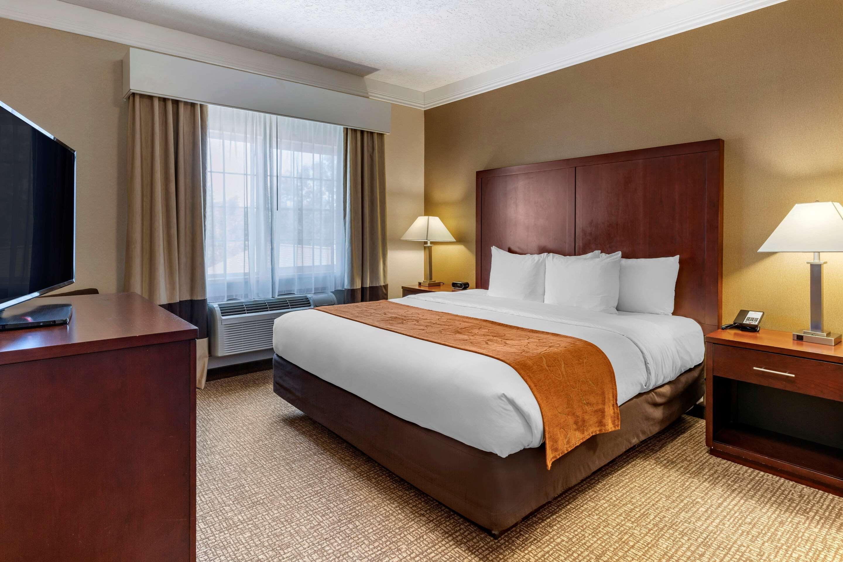 אלבני Comfort Suites Linn County Fairground And Expo מראה חיצוני תמונה